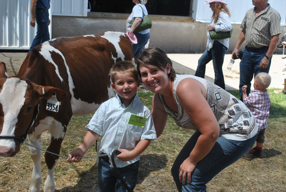 Jacob and his fair heifer