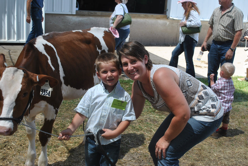 Jacob and his fair heifer