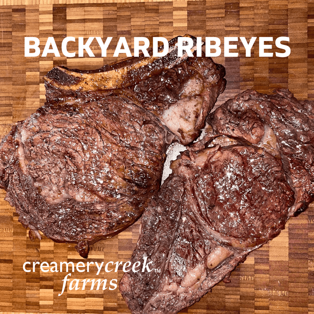 Backyard grilled bone in ribeyes from Creamery Creek