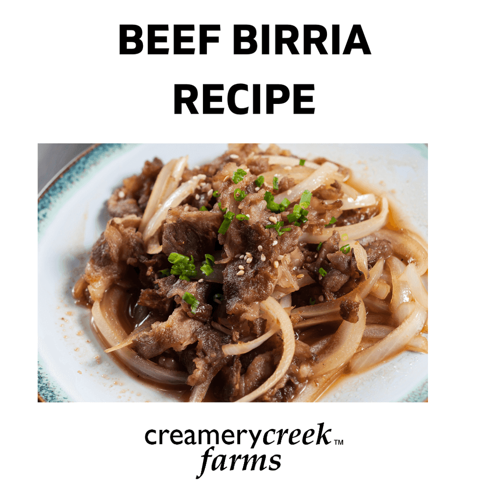 beef birria and onions on a white plate