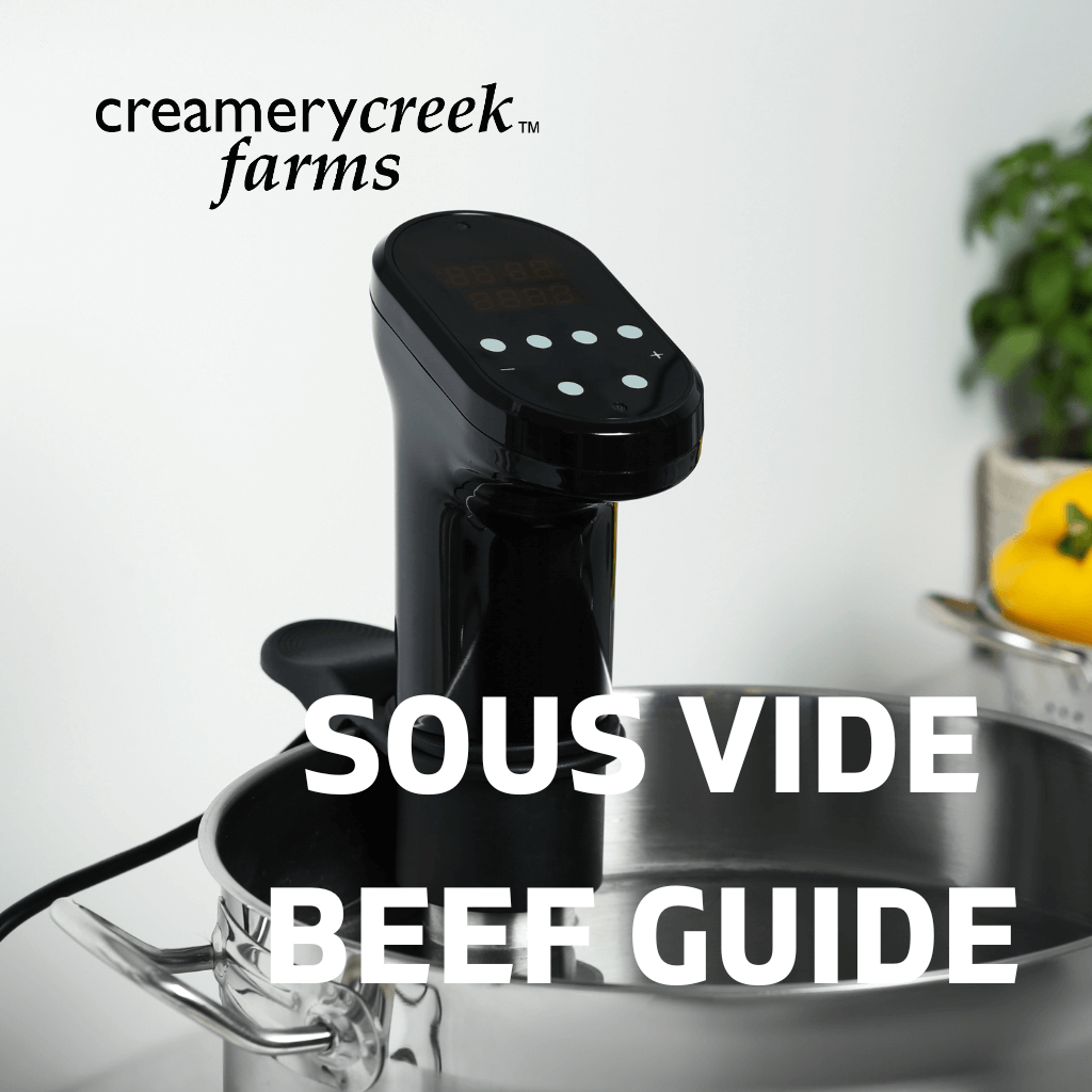 sous vide cooker in a stainless pot
