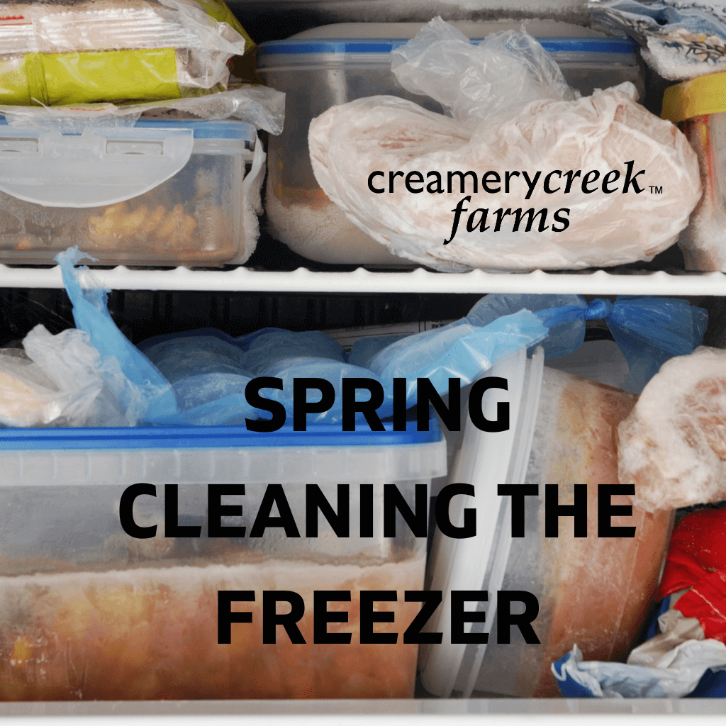 Cluttered freezer ready to be cleaned out