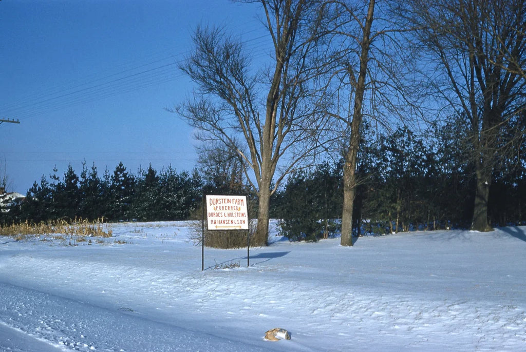 Snowy landscape with a sign and trees under a clear blue sky