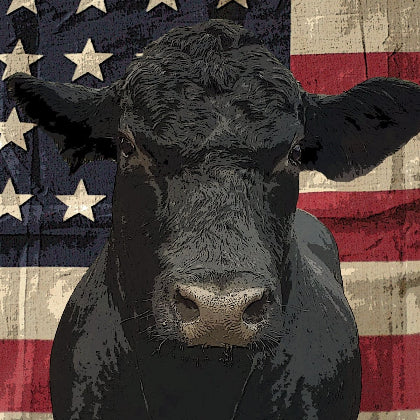 Cow's face in front of an American flag