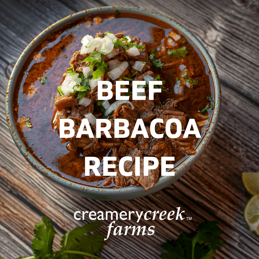 beef barbacoa in a stone bowl on a wooden table
