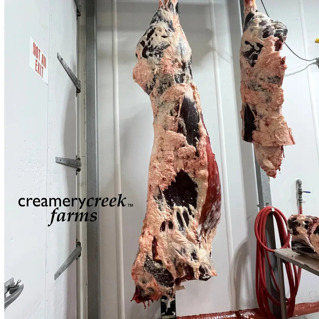 Dry-Aged Beef Mold: What’s Normal, What’s Funky, and Why We Skip the Waste