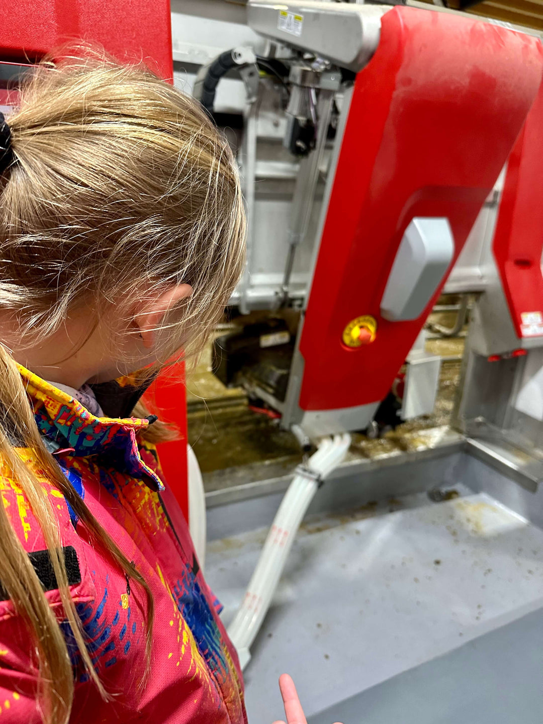 One Farm, Two Worlds: Parlor Milking and Robot Cows