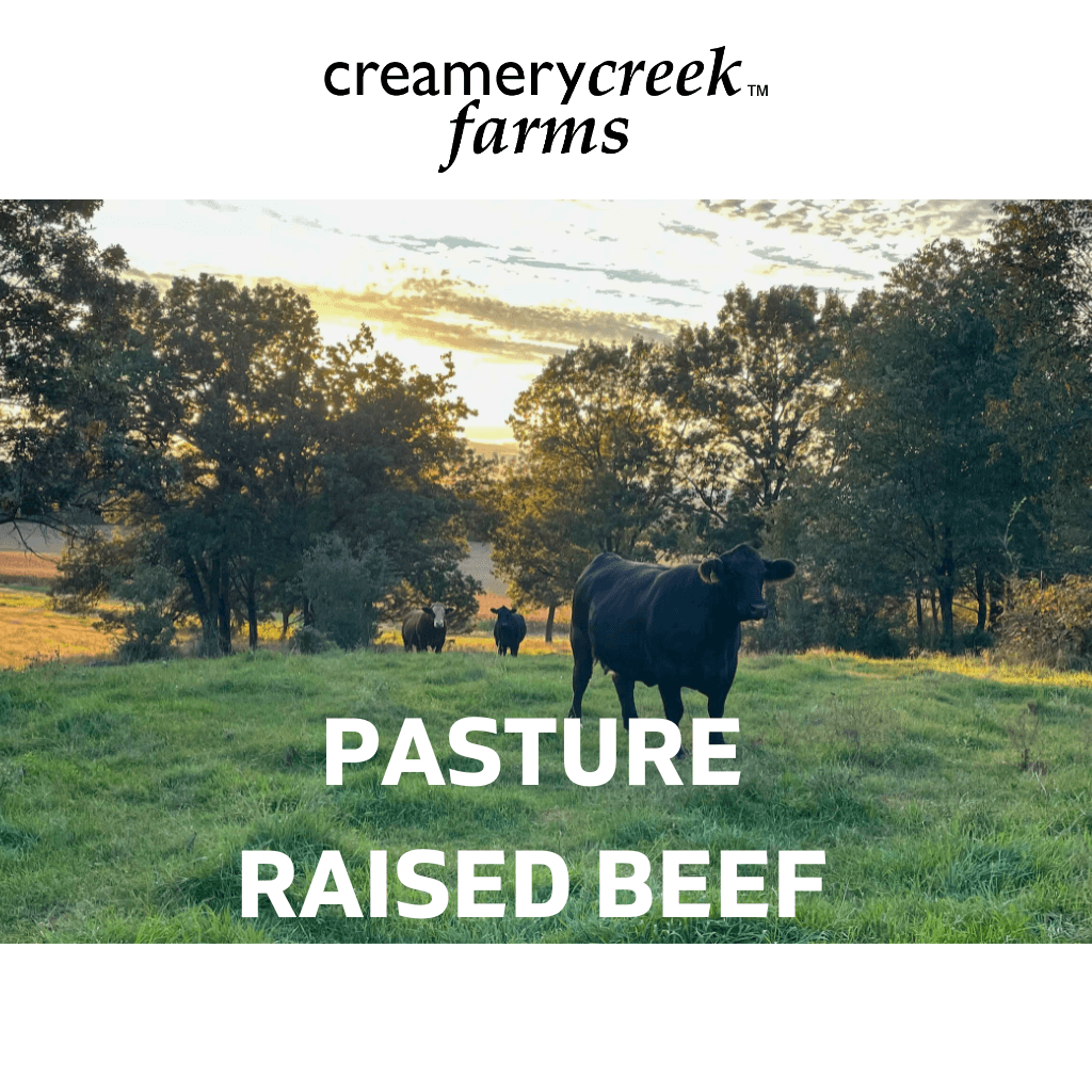 creamery creek cow and bull on pasture with a nice sunset