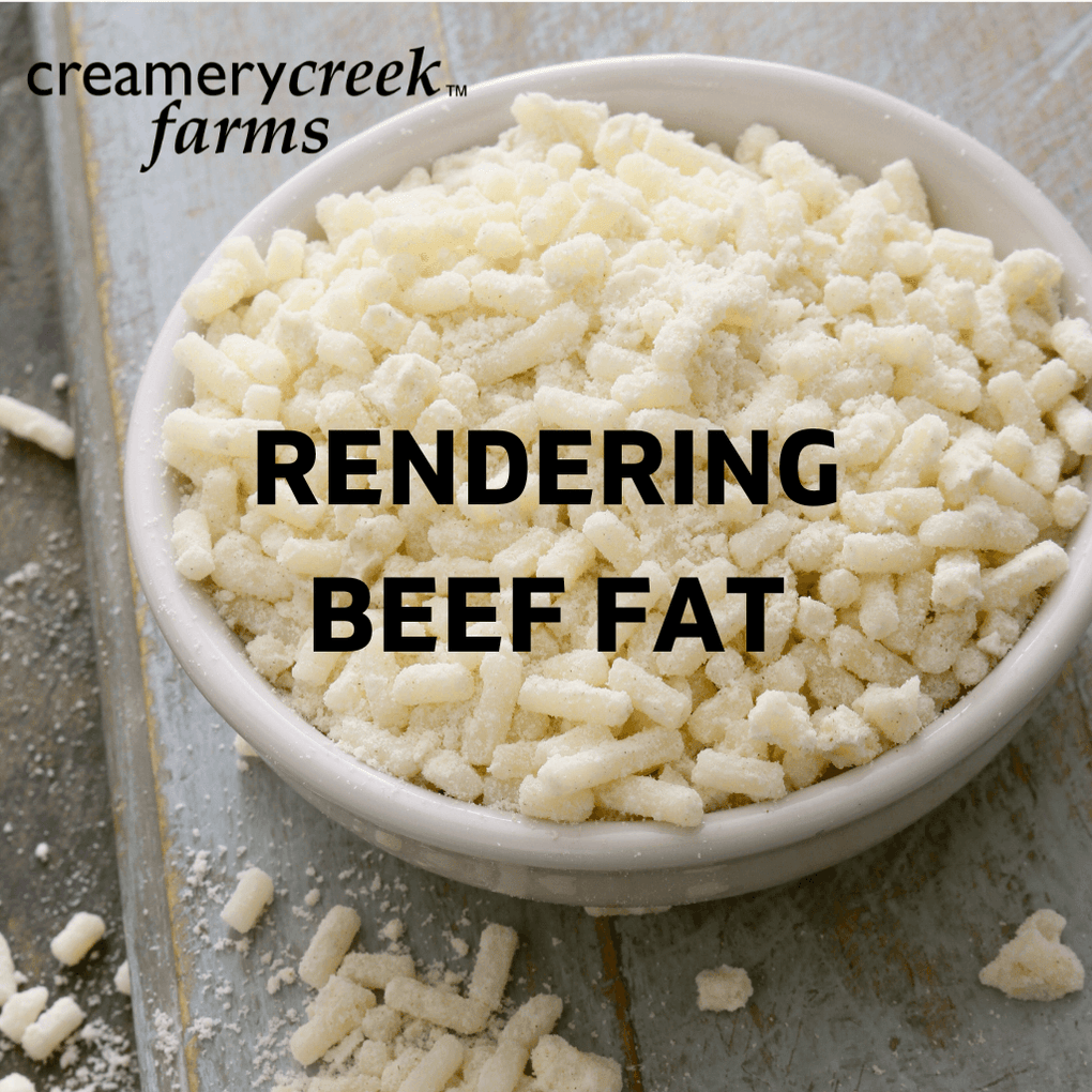 How to Render Fat from Briskets and Beef Roasts