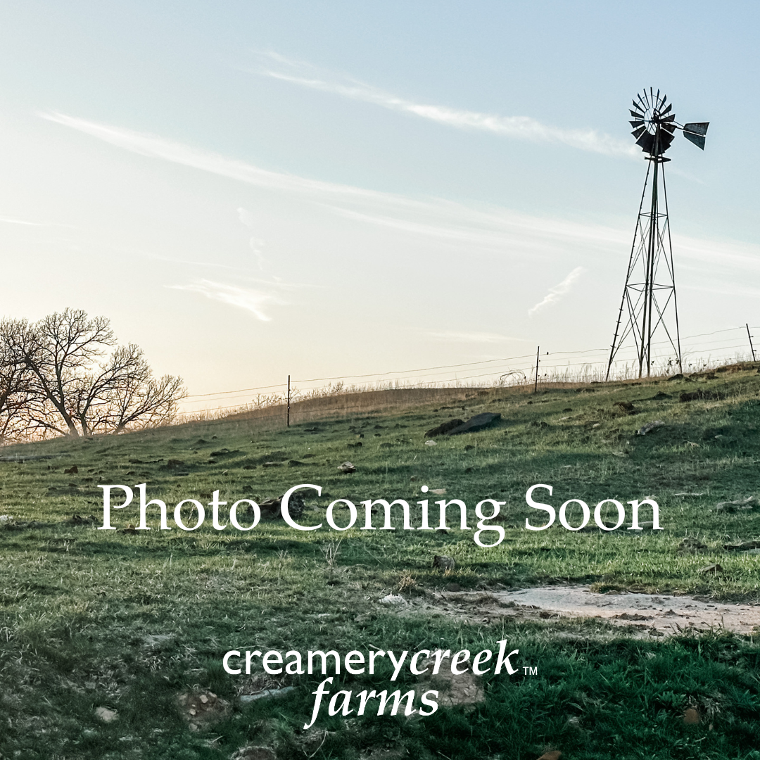 Dry Aged Ground Chuck - Creamery Creek Farms