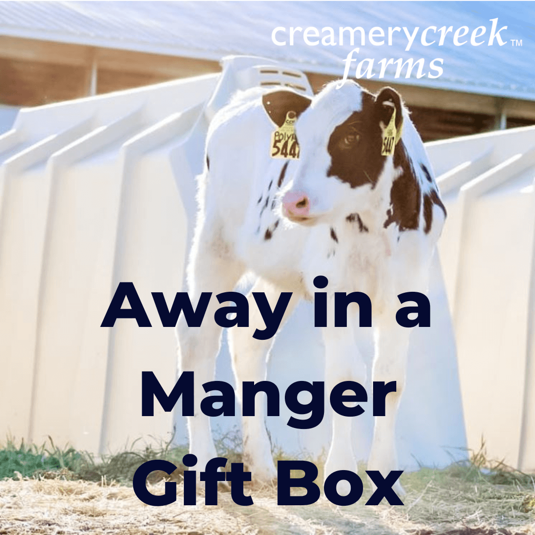 Away in a Manger Gift Box - Cheese and Snacks