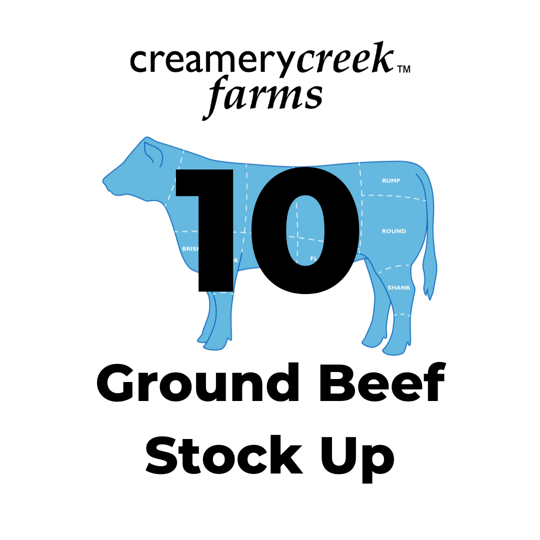 Dry Aged Ground Beef Stock Up - 10lbs