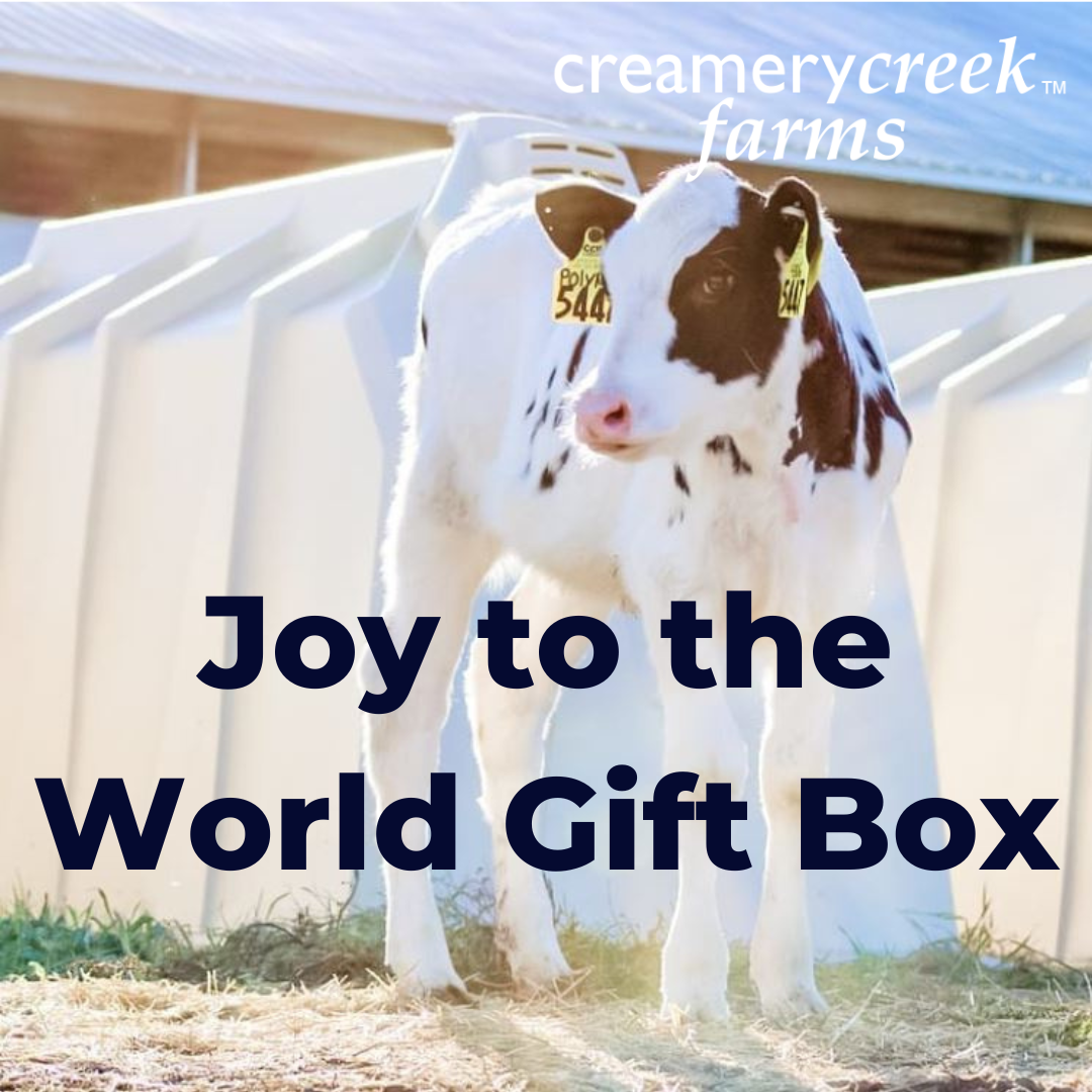 Joy to the World - Cheese and Chocolate Gift Box